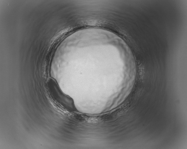 X0000076340587200610201734
