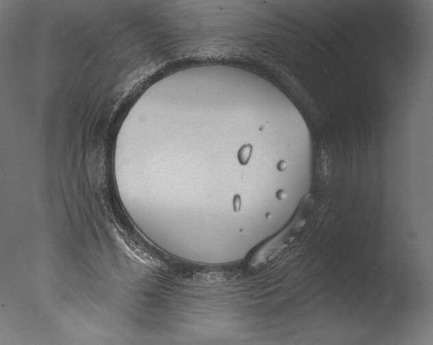 X0000076340588200610201734