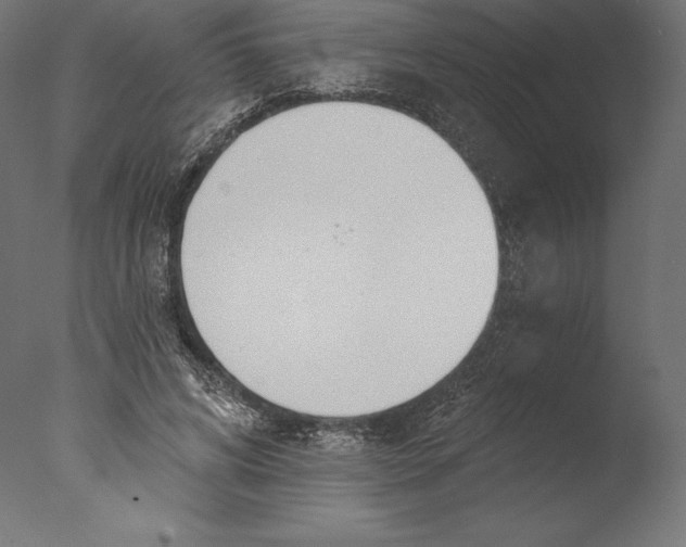 X0000076340592200610201734
