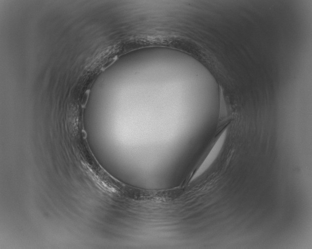 X0000076340593200610201734