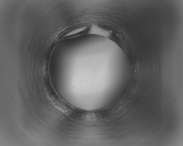 X0000076340600200610201734