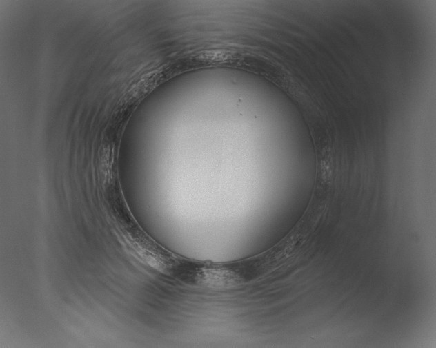 X0000076340605200610201734