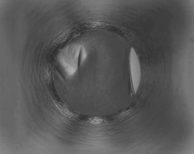 X0000076340607200610201733