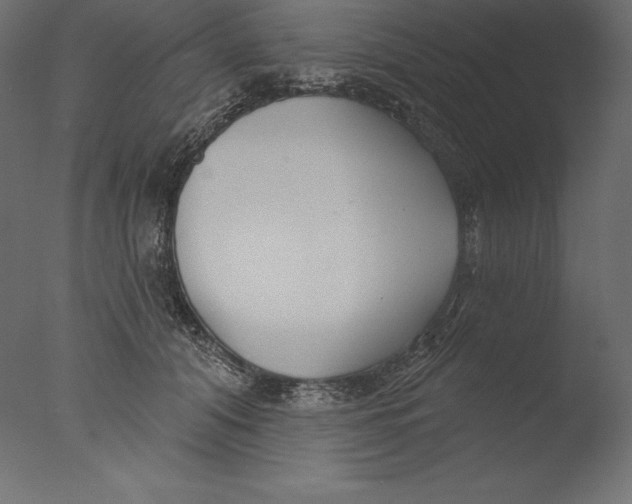 X0000076340608200610201733