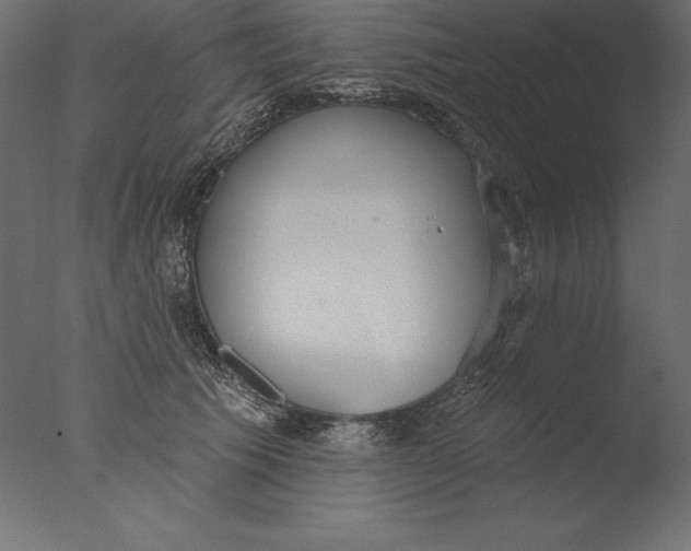 X0000076340609200610201733