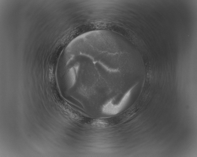 X0000076340610200610201733