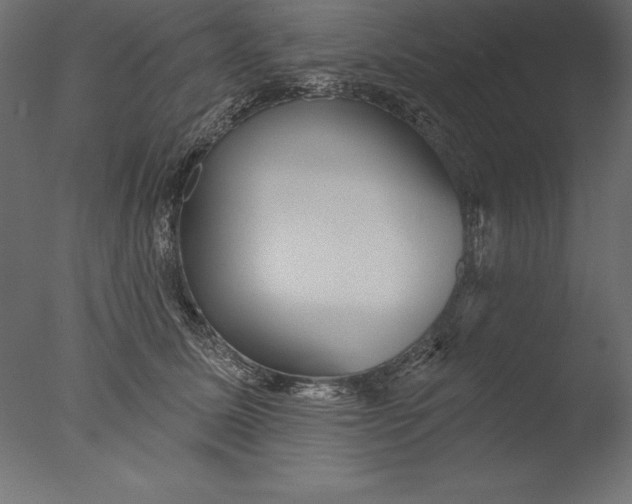 X0000076340611200610201733