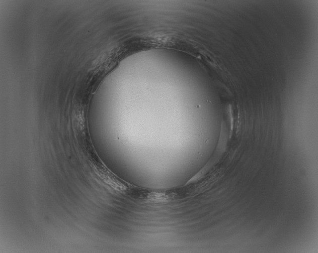 X0000076340613200610201733