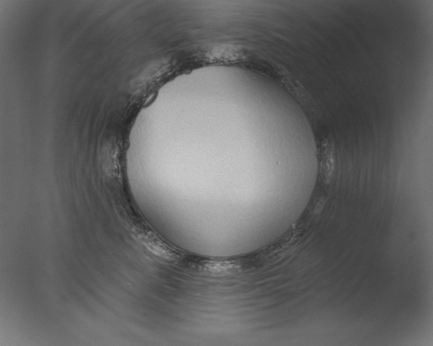 X0000076340619200610201733