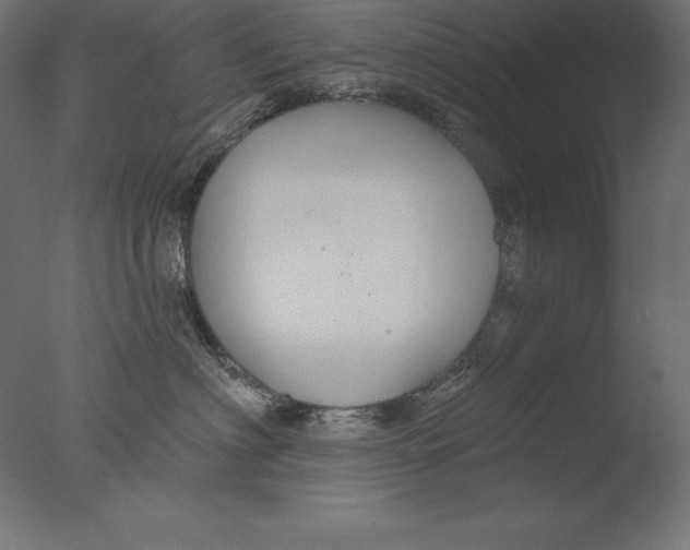 X0000076340622200610201733