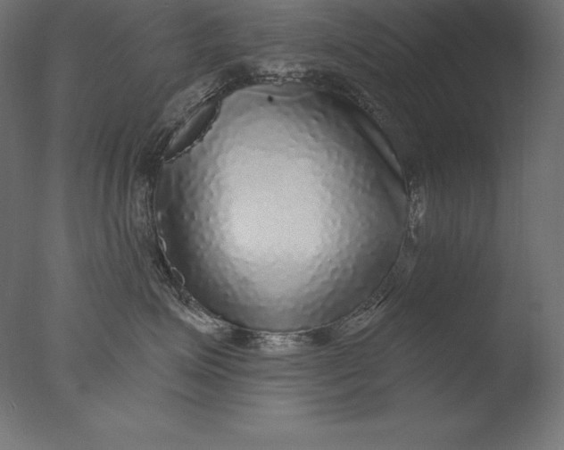 X0000076340623200610201733