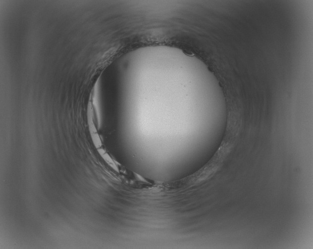 X0000076340624200610201733