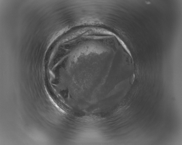 X0000076340630200610201731