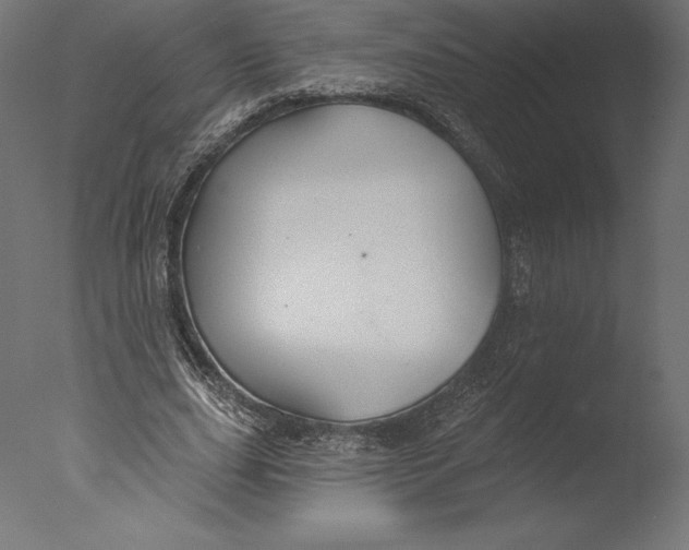 X0000076340631200610201731
