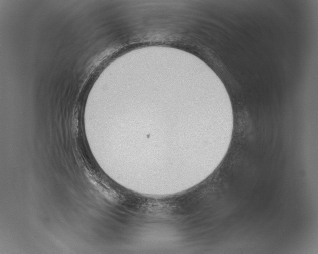X0000076340632200610201731