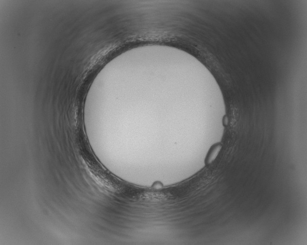 X0000076340636200610201732