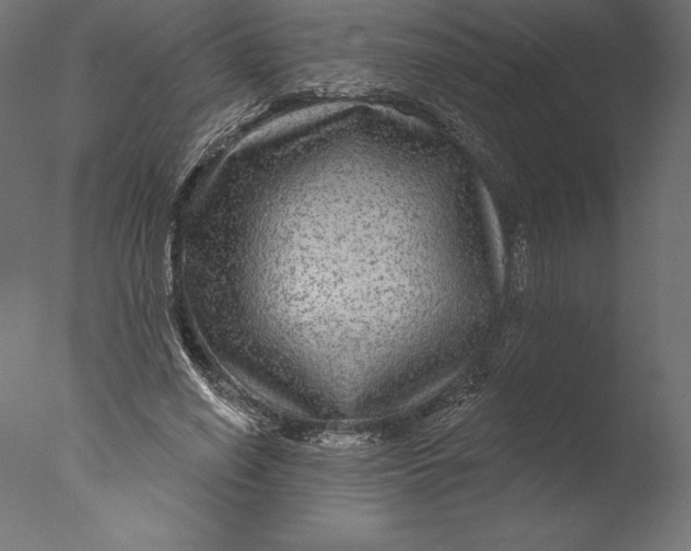 X0000076340638200610201732