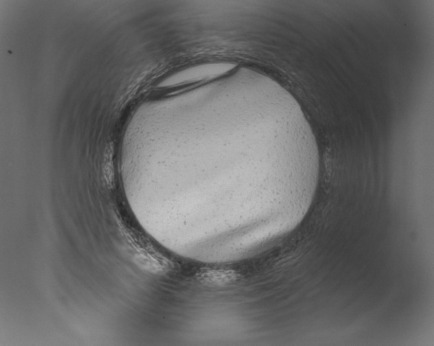 X0000076340642200610201732