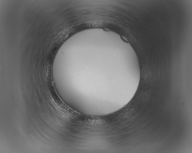 X0000076340645200610201732