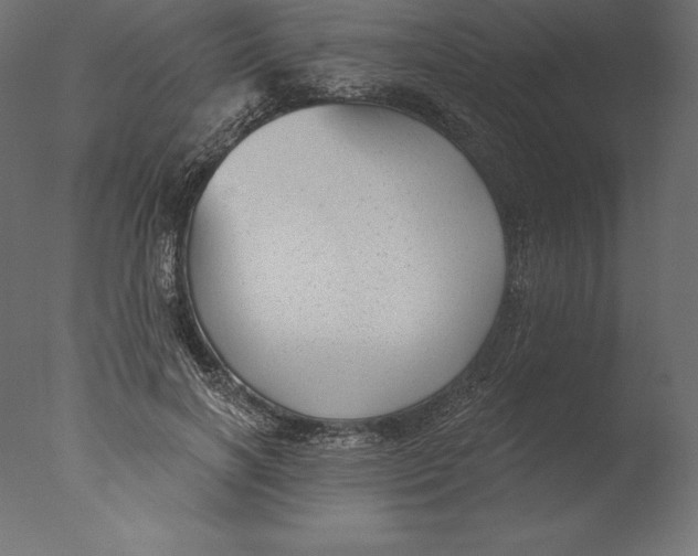 X0000076340646200610201732