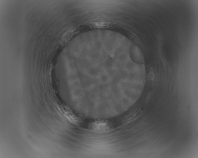 X0000076340651200610201732