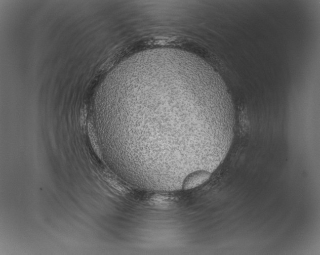 X0000076340657200610201732