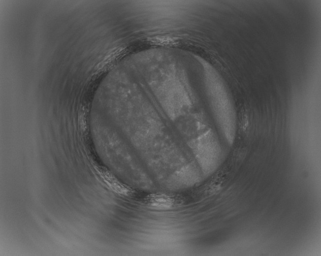 X0000076340658200610201732