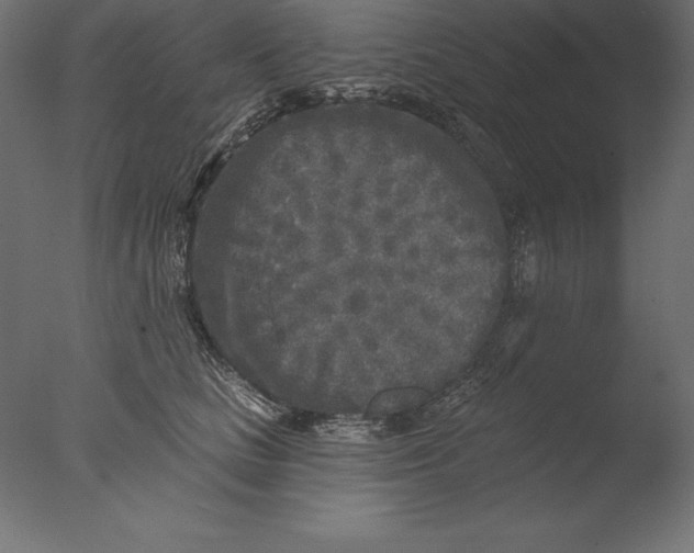 X0000076340661200610201732