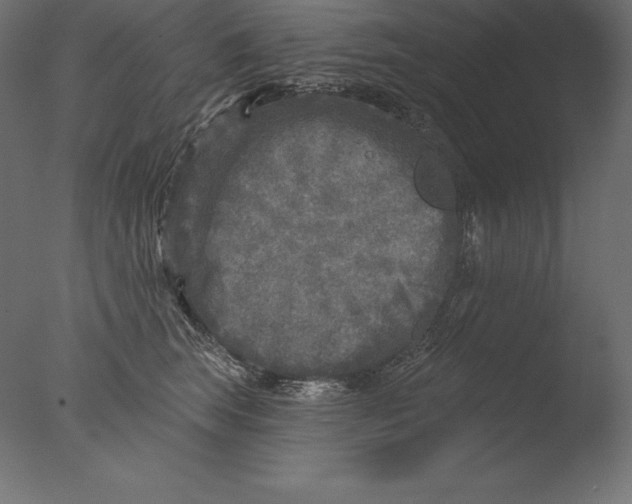 X0000076340663200610201732