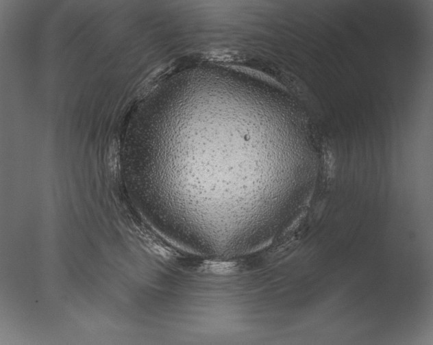 X0000076340665200610201732