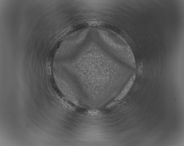 X0000076340666200610201732
