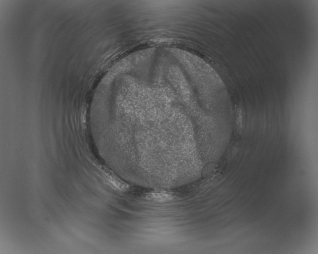 X0000076340668200610201732