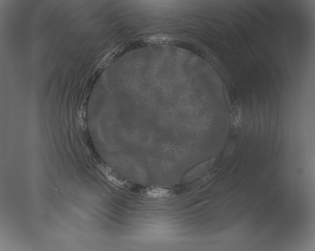 X0000076340669200610201732