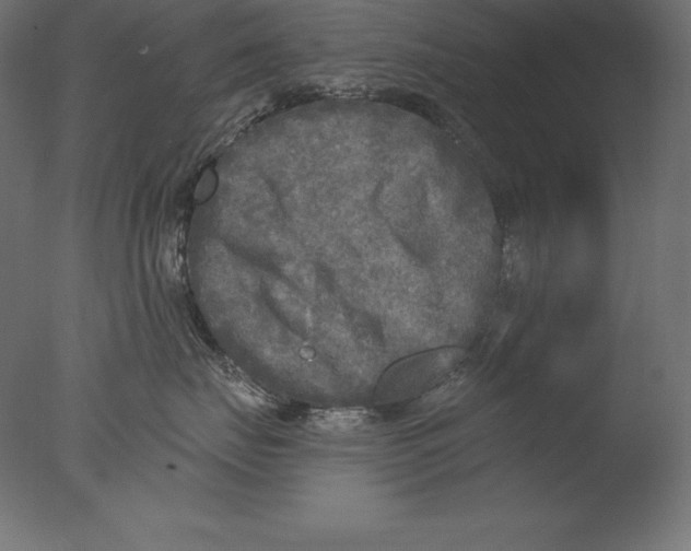 X0000076340671200610201733