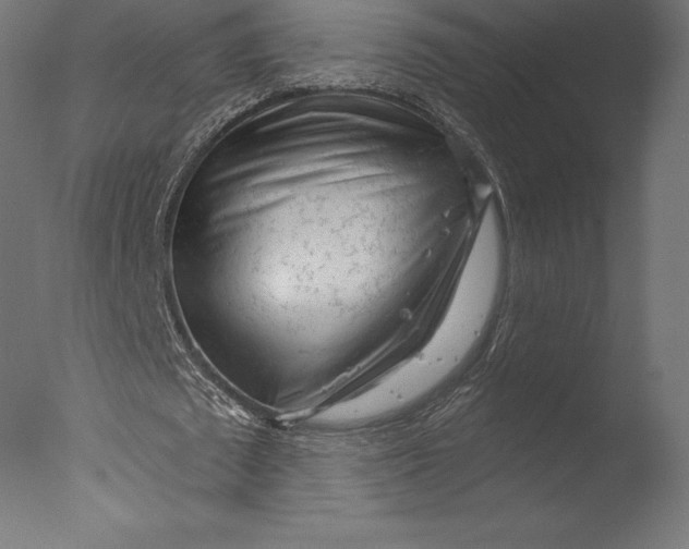 X0000076340673200610201731