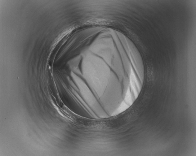 X0000076340674200610201731