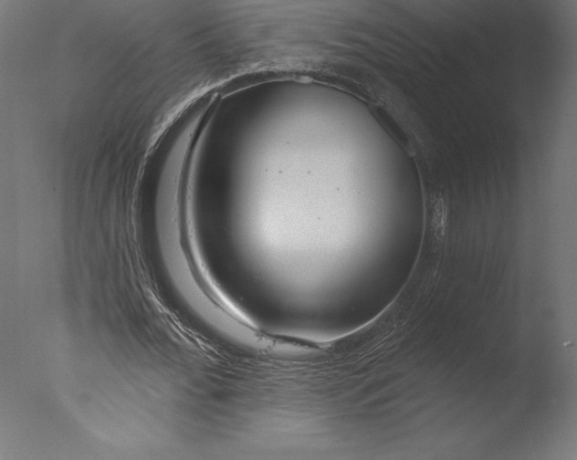 X0000076340676200610201731