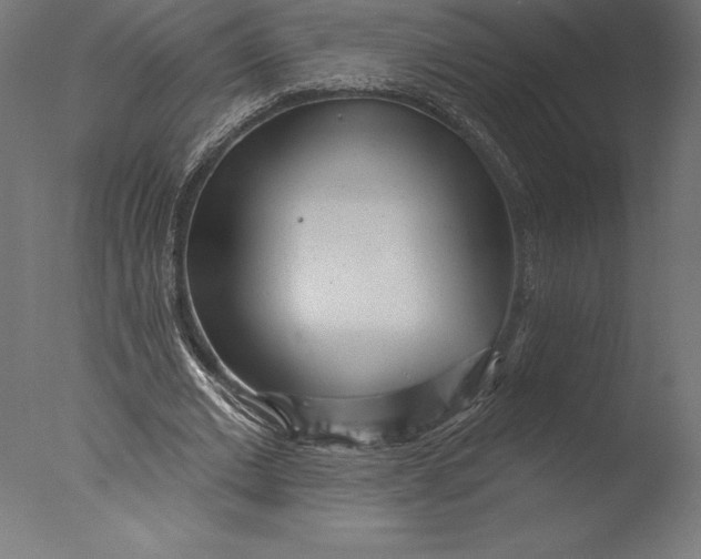 X0000076340677200610201731