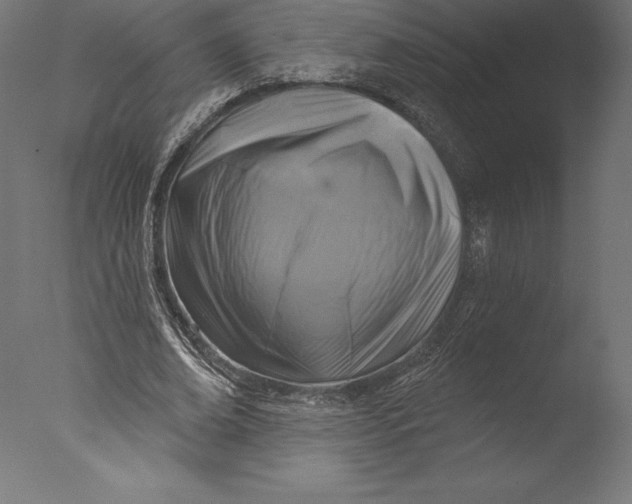 X0000076340678200610201731