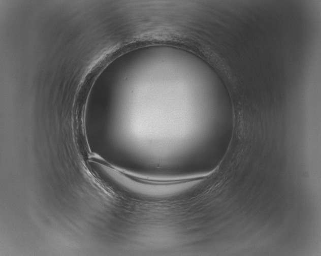 X0000076340680200610201731