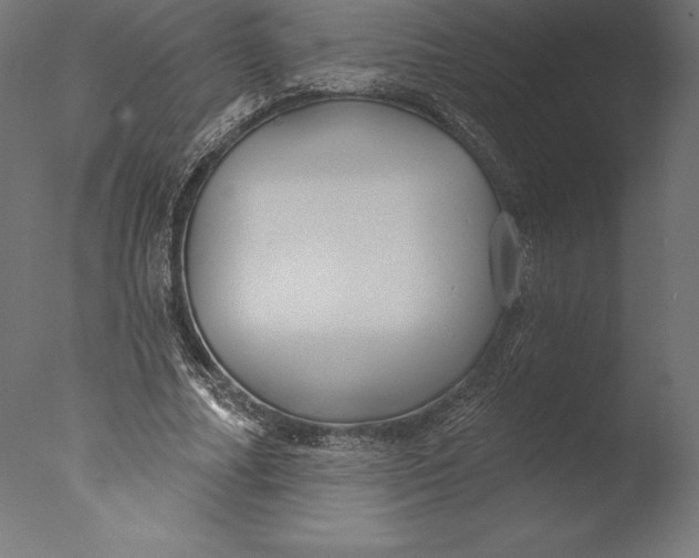 X0000076340682200610201731