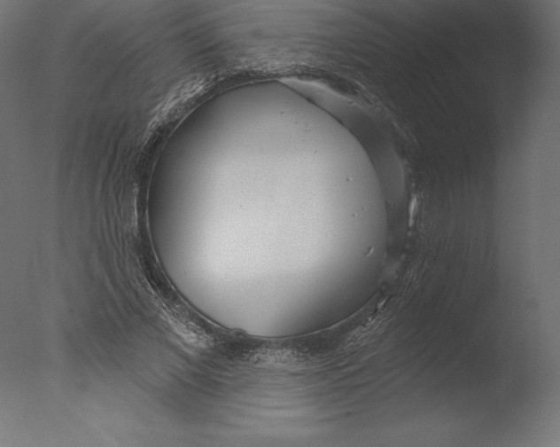 X0000076340685200610201731