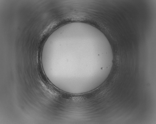 X0000076340686200610201731