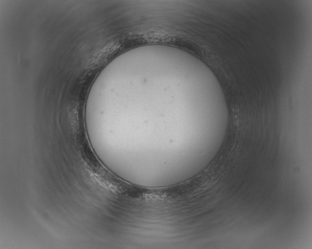 X0000076340690200610201731