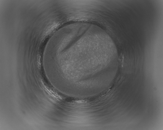 X0000076340692200610201731