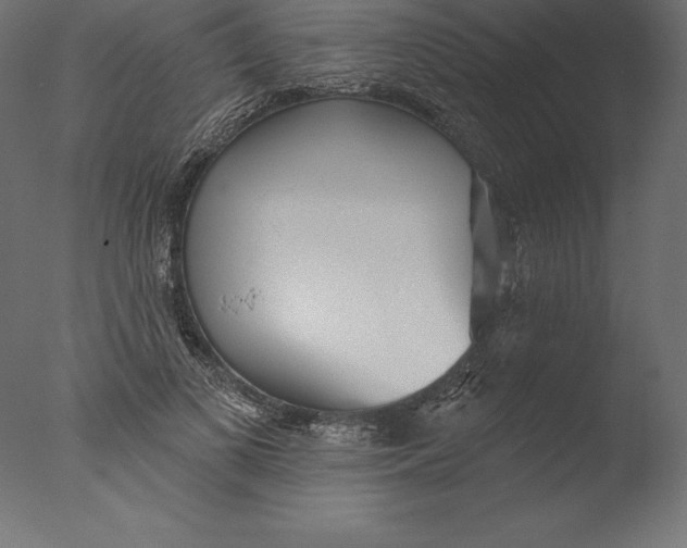 X0000076340693200610201731