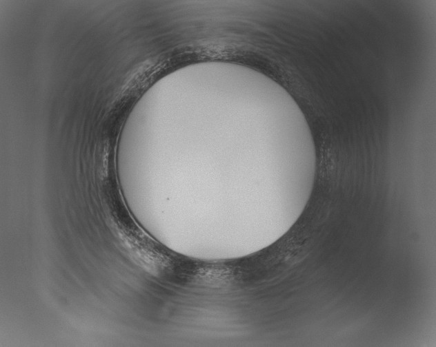 X0000076340694200610201731