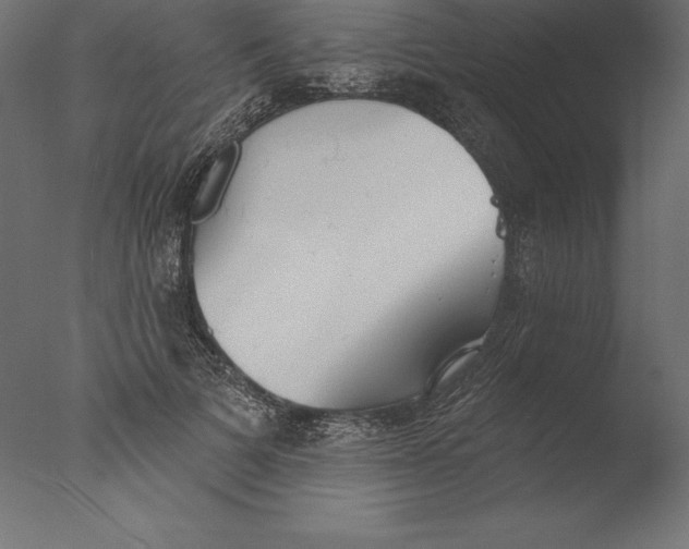 X0000076340697200610201731