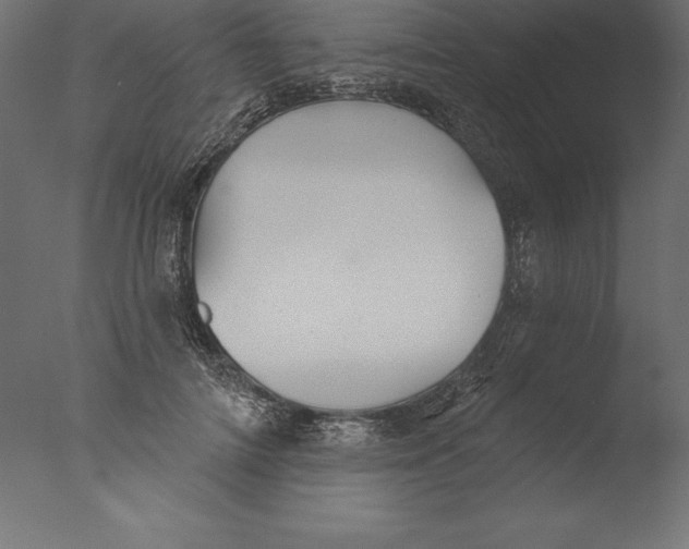 X0000076340698200610201731