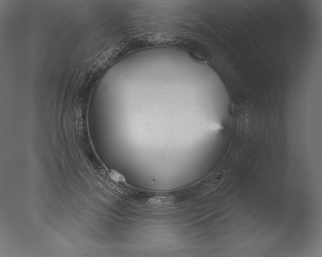X0000076340700200610201731